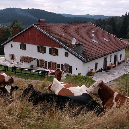 Appartement La Timoniere Gérardmer Exteriör bild