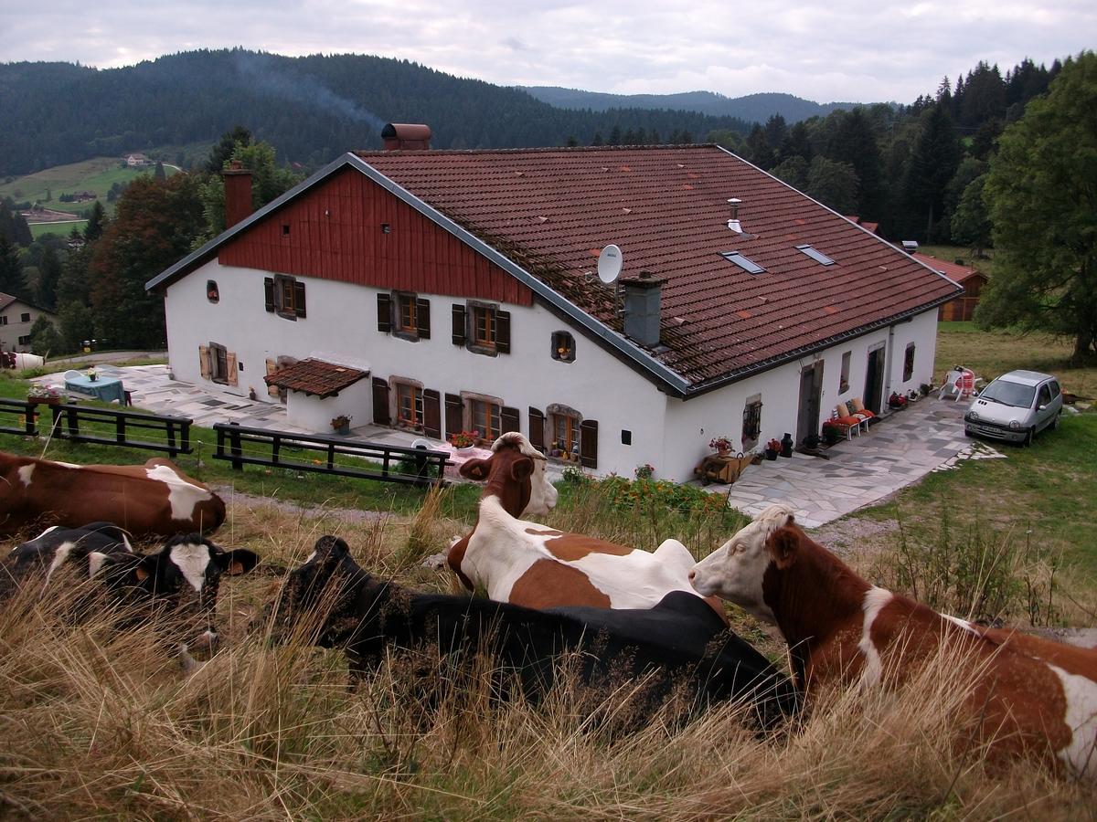 Appartement La Timoniere Gérardmer Exteriör bild