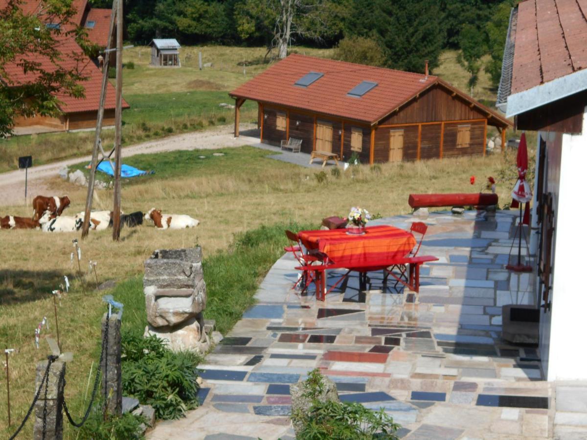 Appartement La Timoniere Gérardmer Exteriör bild